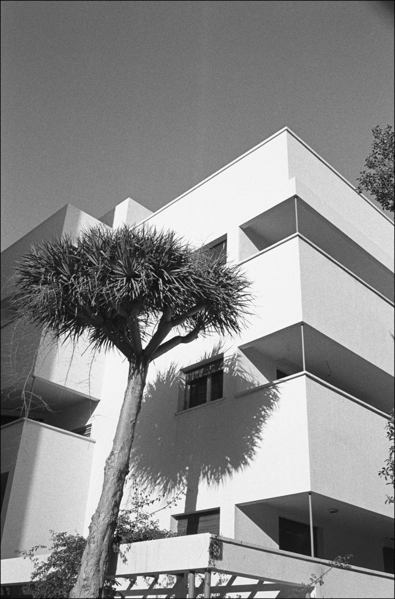 13087003_1163166680360275_7196354233486893494_o